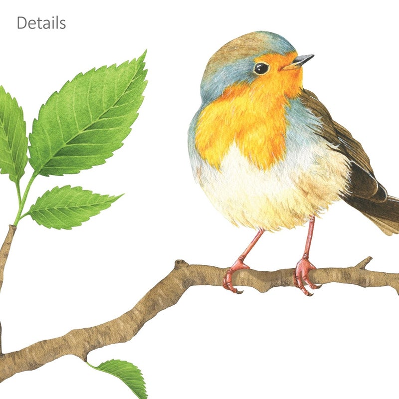DECOWALL DS4-8036 Garden Birds Kids Wall Stickers Wall Decals Peel and Stick Removable Wall Stickers for Kids Nursery Bedroom Living Room (Small) Decor - Image 4